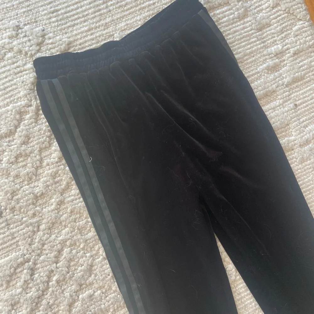 Tiger Mist Revolve Jaden Black Velour Jogger Pants - Picture 4 of 7